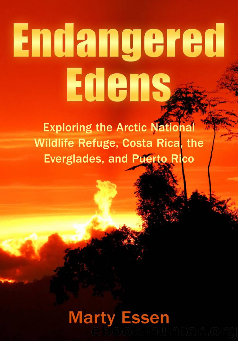 Endangered Edens by Marty Essen