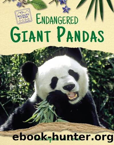 Endangered Giant Pandas by Carl R. Green