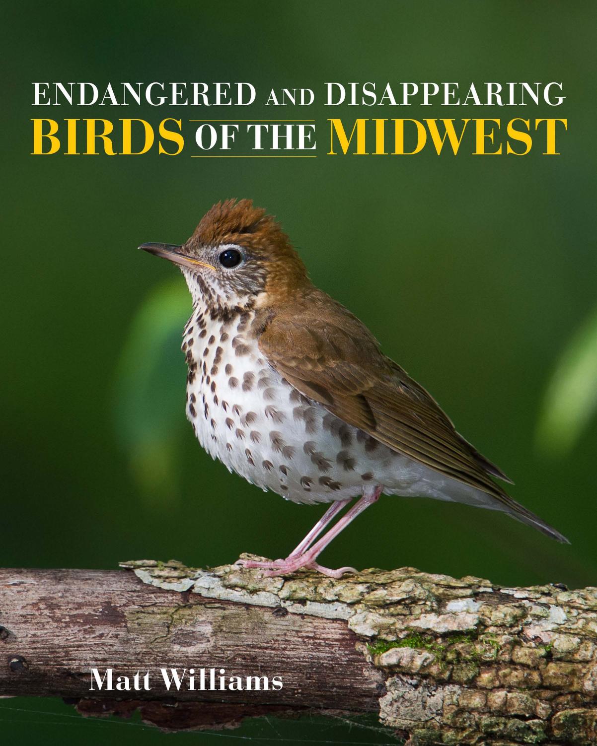 Endangered and Disappearing Birds of the Midwest by Matt Williams
