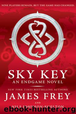 Endgame: Sky Key by James Frey & Nils Johnson-Shelton