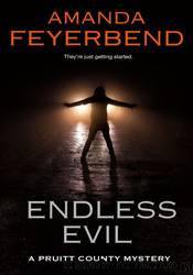 Endless Evil by Amanda Feyerbend