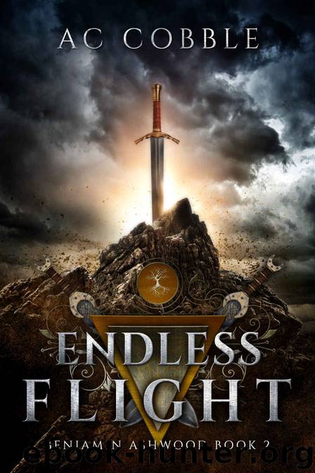 Endless Flight by A. C. Cobble