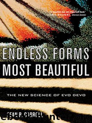 Endless Forms Most Beautiful by Sean B. Carroll