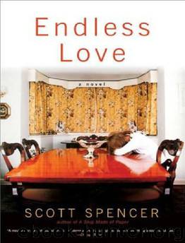 Endless Love by Scott Spencer