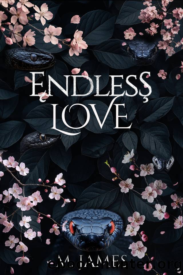 Endless Love: A Psychological Romance by M. James