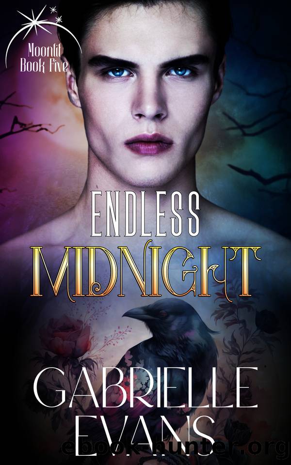 Endless Midnight (Moonlit Book 5) by Gabrielle Evans