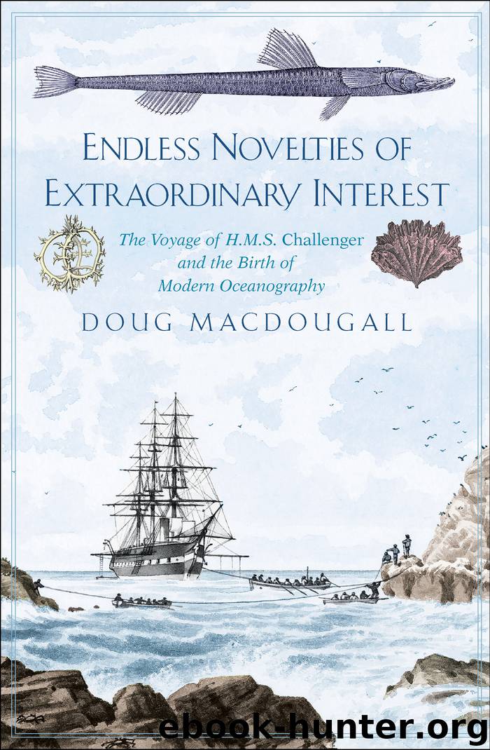 Endless Novelties of Extraordinary Interest by Doug Macdougall