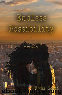 Endless Possibility: a RUSH novella (City Lights 3.5) by Emma Scott