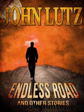 Endless Road and Other Stories by John Lutz