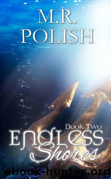 Endless Shores by M.R. Polish
