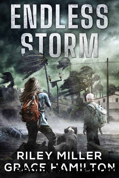 Endless Storm by Riley Miller & Grace Hamilton