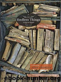 Endless Things by John Crowley