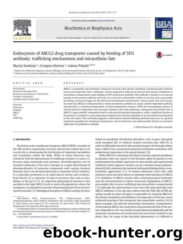 Endocytosis of ABCG2 drug transporter caused by binding of 5D3 antibody: trafficking mechanisms and intracellular fate by Maciej Studzian & Grzegorz Bartosz & Lukasz Pulaski