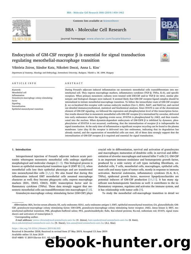 Endocytosis of GM-CSF receptor Î² is essential for signal transduction regulating mesothelial-macrophage transition by Viktória Zsiros & Sándor Katz & Nikolett Doczi & Anna L. Kiss