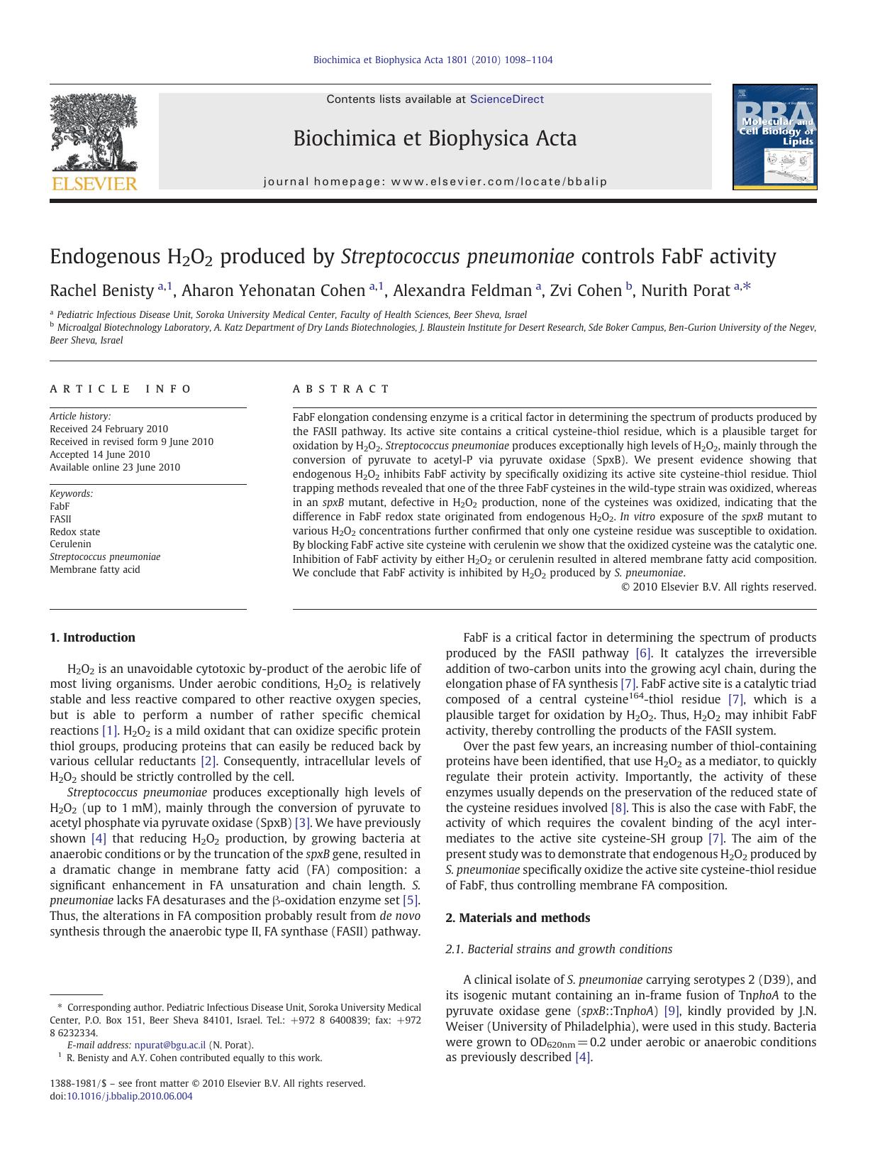 Endogenous H2O2 produced by Streptococcus pneumoniae controls FabF activity by Rachel Benisty