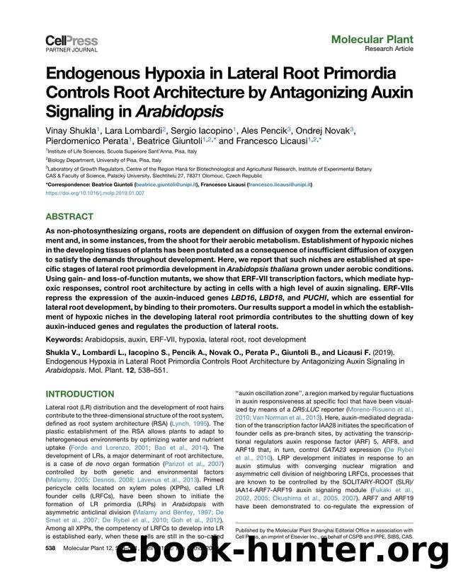 Endogenous Hypoxia in Lateral Root Primordia Controls Root Architecture by Antagonizing Auxin Signaling in Arabidopsis by unknow