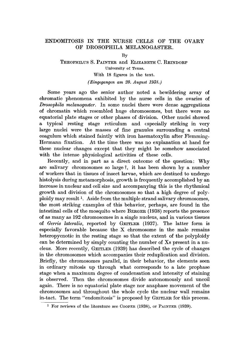 Endomitosis in the nurse cells of the ovary of drosophila melanogaster by Unknown