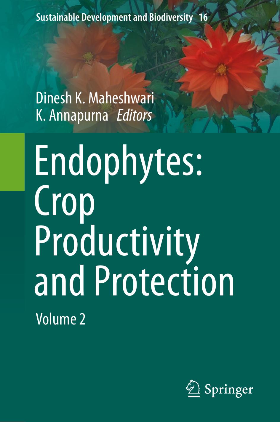 Endophytes: Crop Productivity and Protection: Volume 2 by Dinesh K. Maheshwari K. Annapurna (eds.)