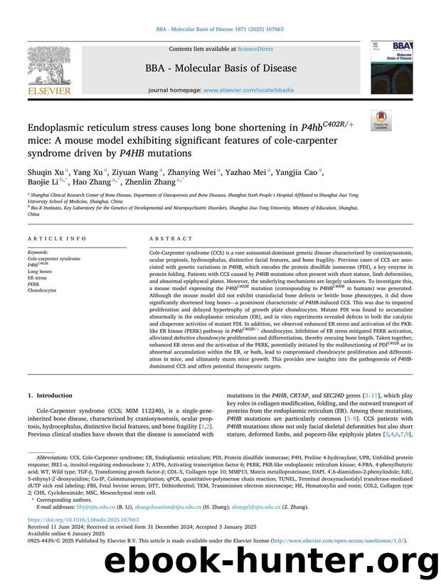 Endoplasmic reticulum stress causes long bone shortening in P4hb C402R+ mice: A mouse model exhibiting significant features of cole-carpenter syndrome driven by P4HB mutations by unknow