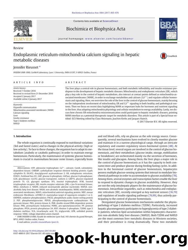 Endoplasmic reticulum-mitochondria calcium signaling in hepatic metabolic diseases by Jennifer Rieusset