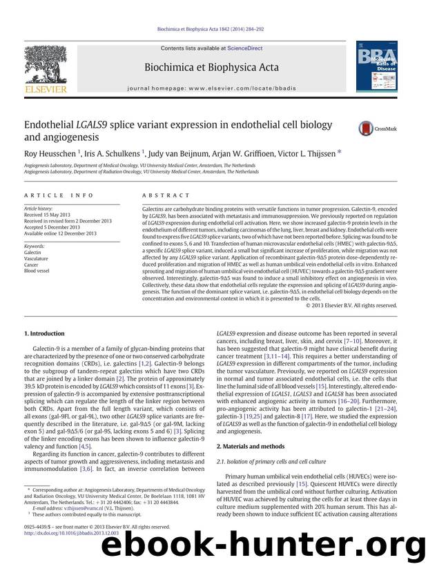 Endothelial LGALS9 splice variant expression in endothelial cell biology and angiogenesis by Roy Heusschen & Iris A. Schulkens & Judy van Beijnum & Arjan W. Griffioen & Victor L. Thijssen