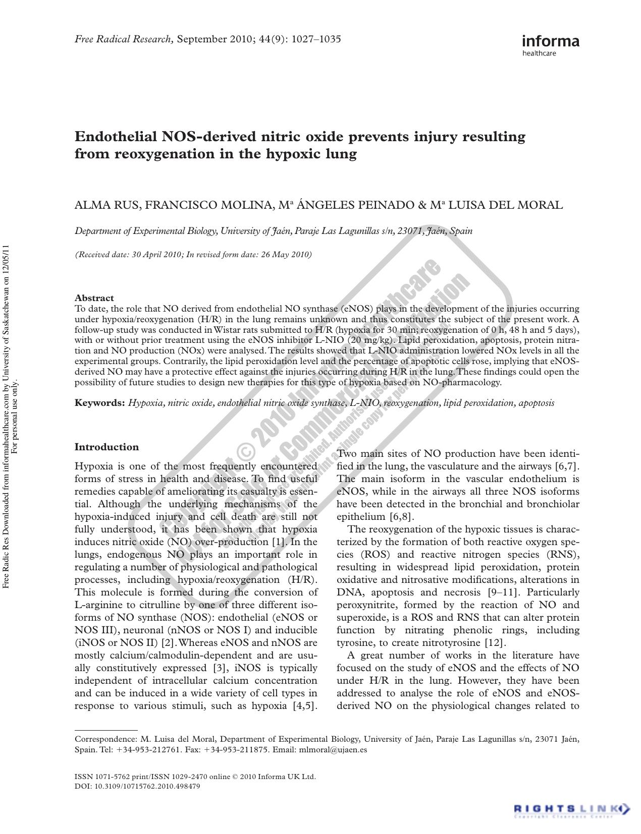 Endothelial NOS-derived nitric oxide prevents injury resulting from reoxygenation in the hypoxic lung by Alma Rus Francisco Molina Ma Ángeles Peinado & Ma Luisa del Moral mlmoral@ujaen.es