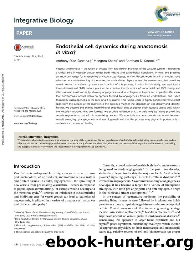Endothelial cell dynamics during anastomosis in vitro by Anthony Diaz-Santana & Mengrou Shan & Abraham D. Stroock