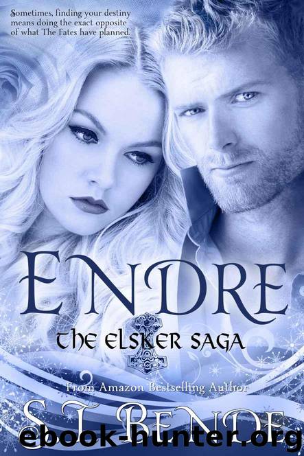 Endre (Elsker Saga Book 2) by S.T. Bende