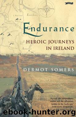 Endurance by Dermot Somers