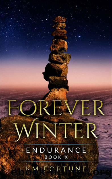 Endurance_A Future Dystopian Survival Series Adventure by KM Fortune