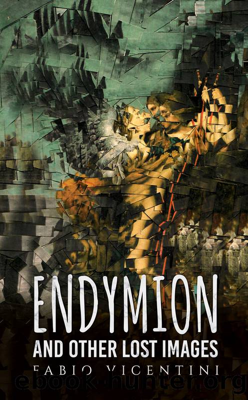 Endymion and Other Lost Images by Vicentini Fabio;