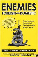 Enemies Foreign and Domestic by Matthew Bracken