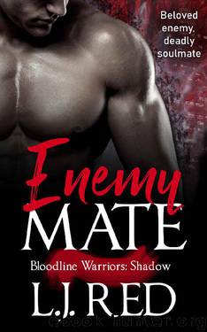 Enemy Mate by L J Red