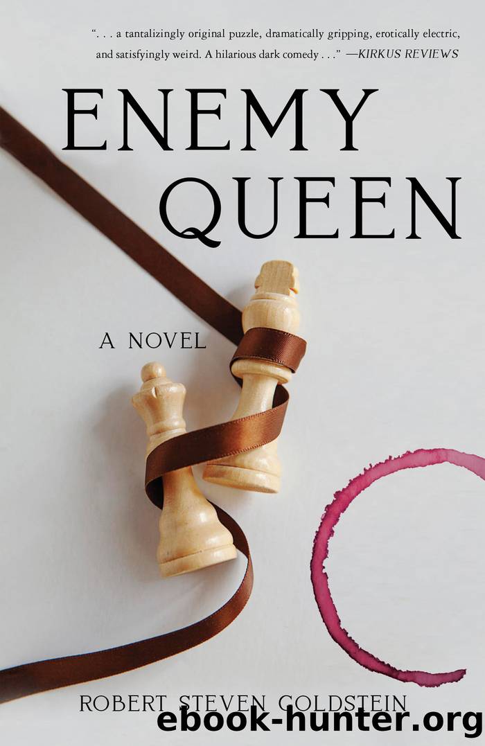 Enemy Queen by Robert Steven Goldstein