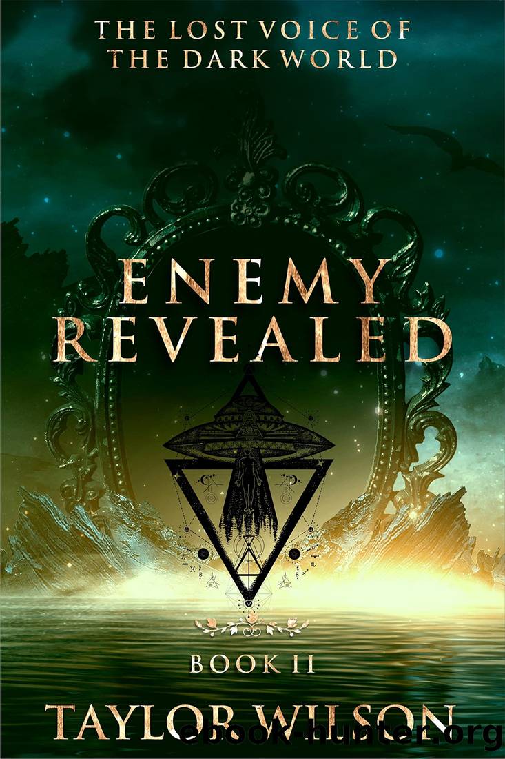 Enemy Revealed by Taylor Wilson