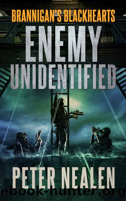 Enemy Unidentified (Brannigan's Blackhearts Book 3) by Peter Nealen