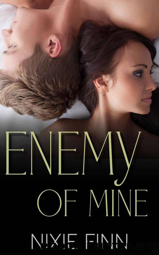 Enemy of Mine: A Steamy Small Town Enemies to Lovers Romance (Briarside Creek Book 2) by Nixie Finn