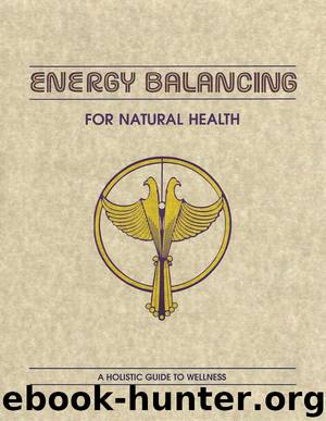 Energy Balancing Level I by James Minckler