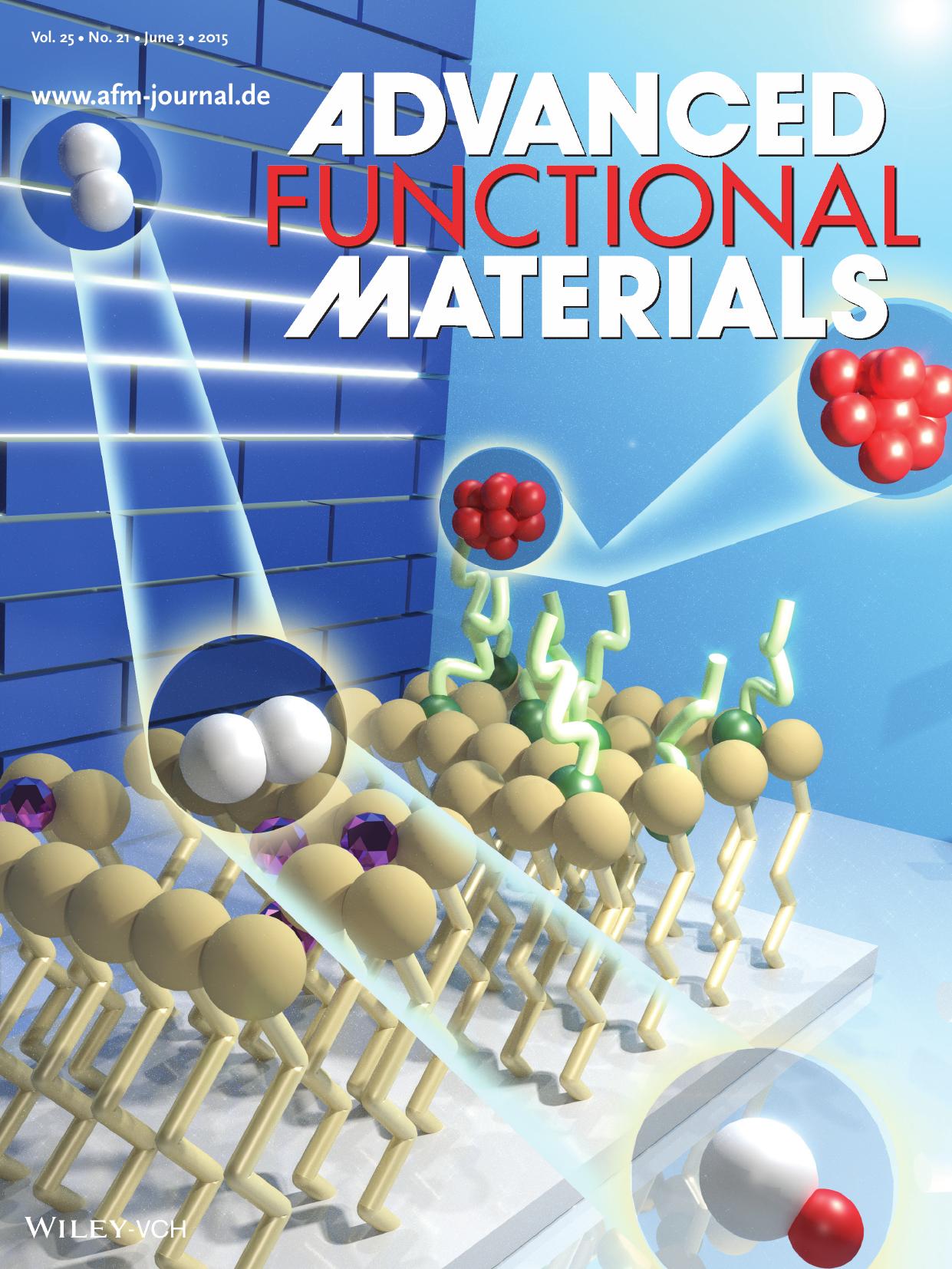 Energy Barriers: Functional and Well&#x02010;Defined <i>&#x003B2;<i>&#x02010;Sheet&#x02010;Assembled Porous Spherical Shells by Surface&#x02010;Guided Peptide Formation (Adv. Funct by Unknown