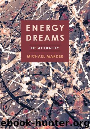 Energy Dreams by Marder Michael