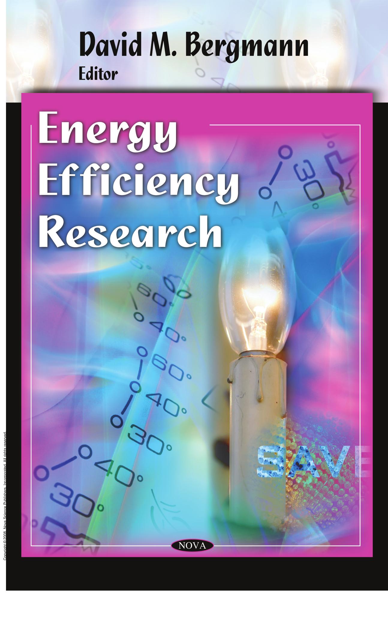 Energy Efficiency Research by David M. Bergmann