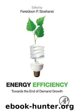 Energy Efficiency by Sioshansi Fereidoon P
