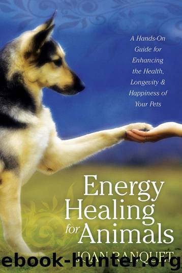 Energy Healing for Animals: A Hands-On Guide for Enhancing the Health, Longevity, and Happiness of Your Pets by Joan Ranquet