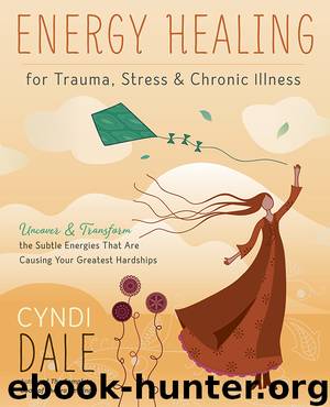 Energy Healing for Trauma, Stress & Chronic Illness by Cyndi Dale
