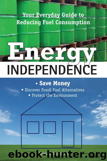 Energy Independence by Christine Woodside