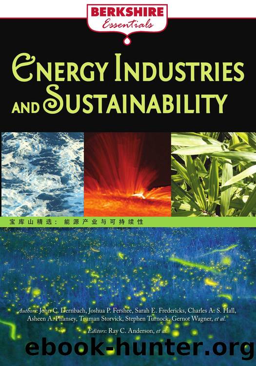 Energy Industries and Sustainability by Ray C. Anderson