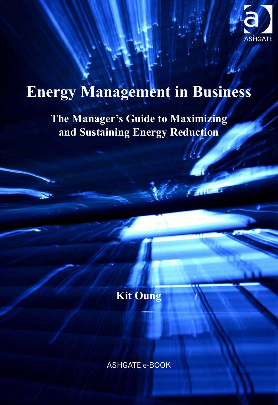 Energy Management in Business: The Manager's Guide to Maximizing and Sustaining Energy Reduction by Oung Kit