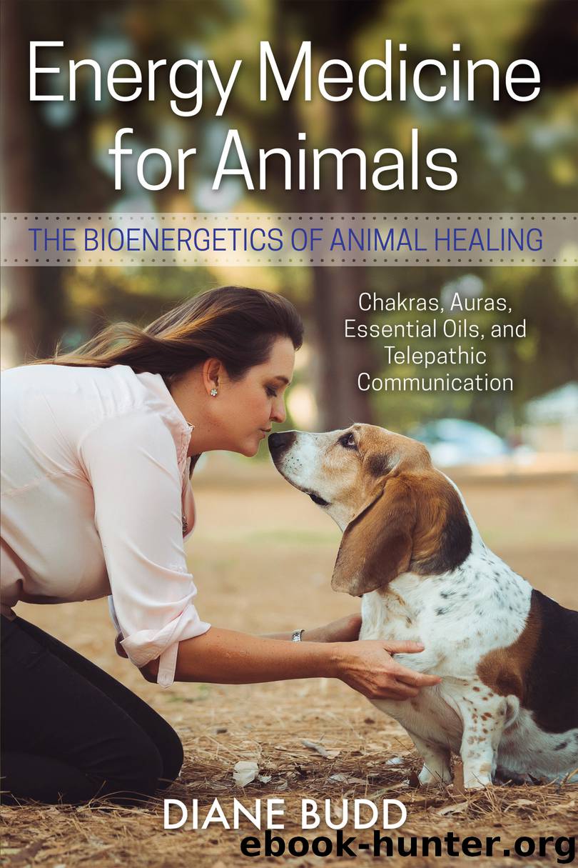 Energy Medicine for Animals by Diane Budd