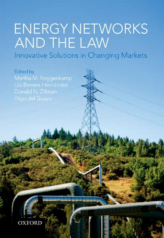 Energy Networks and the Law: Innovative Solutions in Changing Markets by Martha M. Roggenkamp Lila Barrera-Hernandez Donald N. Zillman Inigo del Guayo