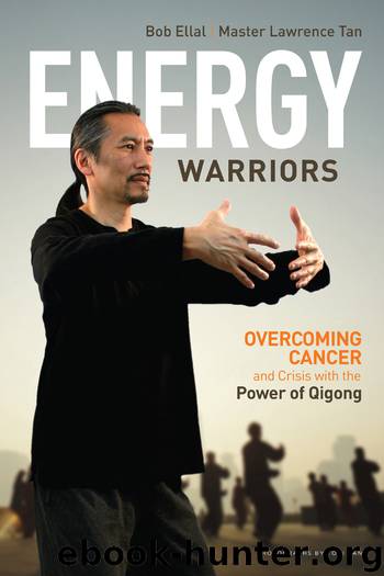 Energy Warriors by Bob Ellal